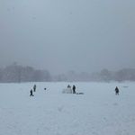 Children sled in Prospect Park on Sunday, February 7, 2021.
